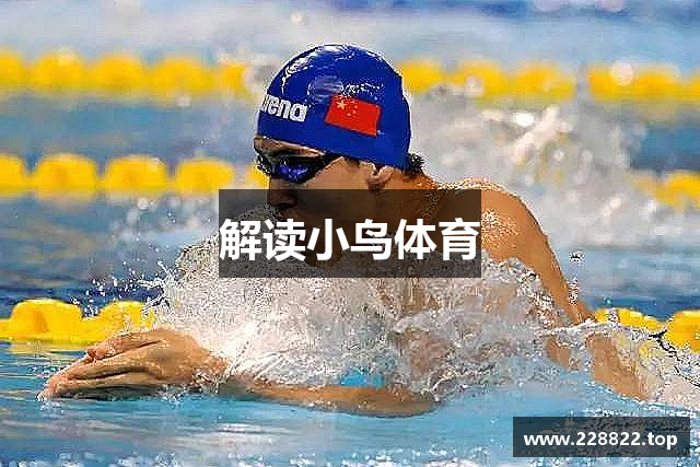 解读小鸟体育